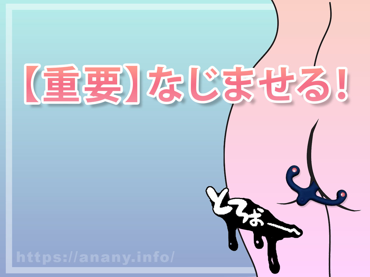 指やモノ・アナルオナニーグッズをアナルになじませる