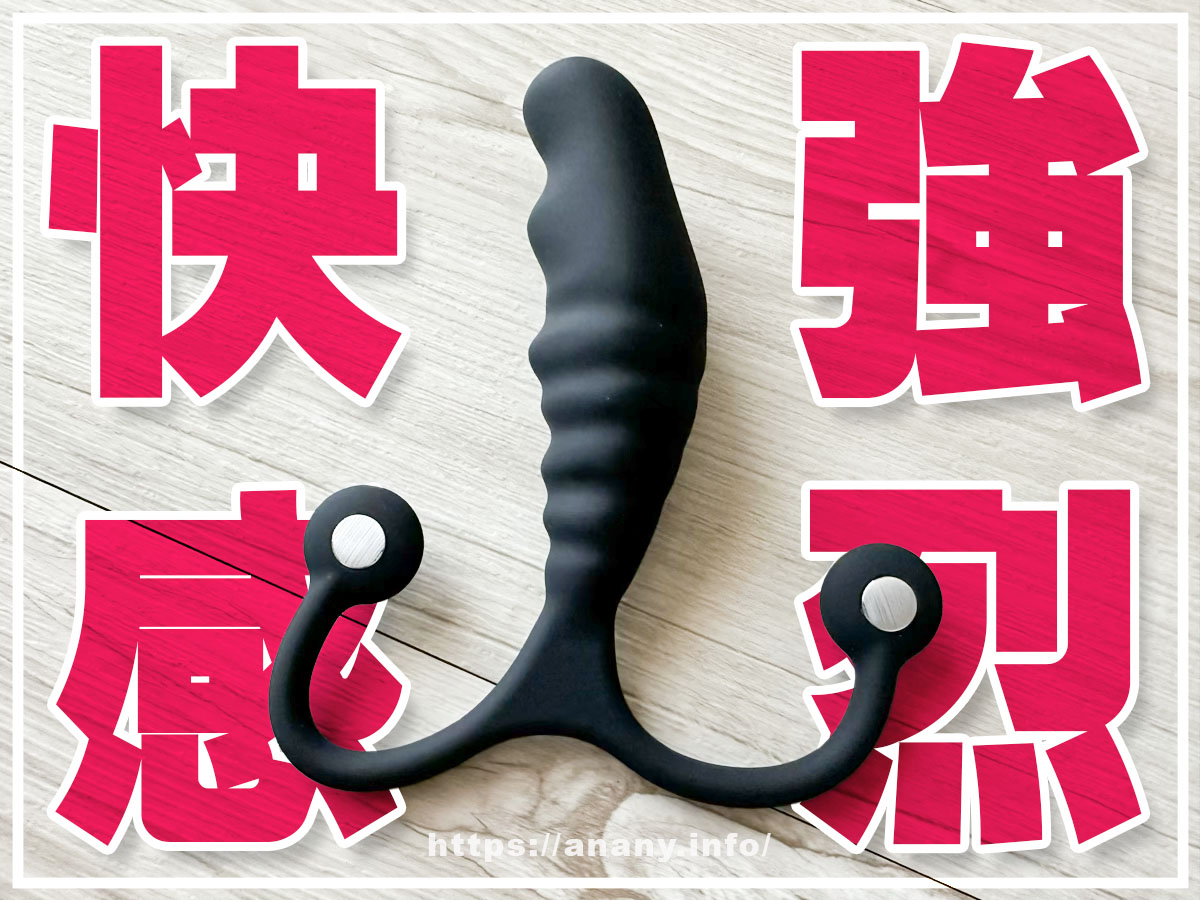 【総評】自分好みに完璧カスタマイズできた時の前立腺への強烈刺激！＆会陰への刺激が気持ちよすぎる！
