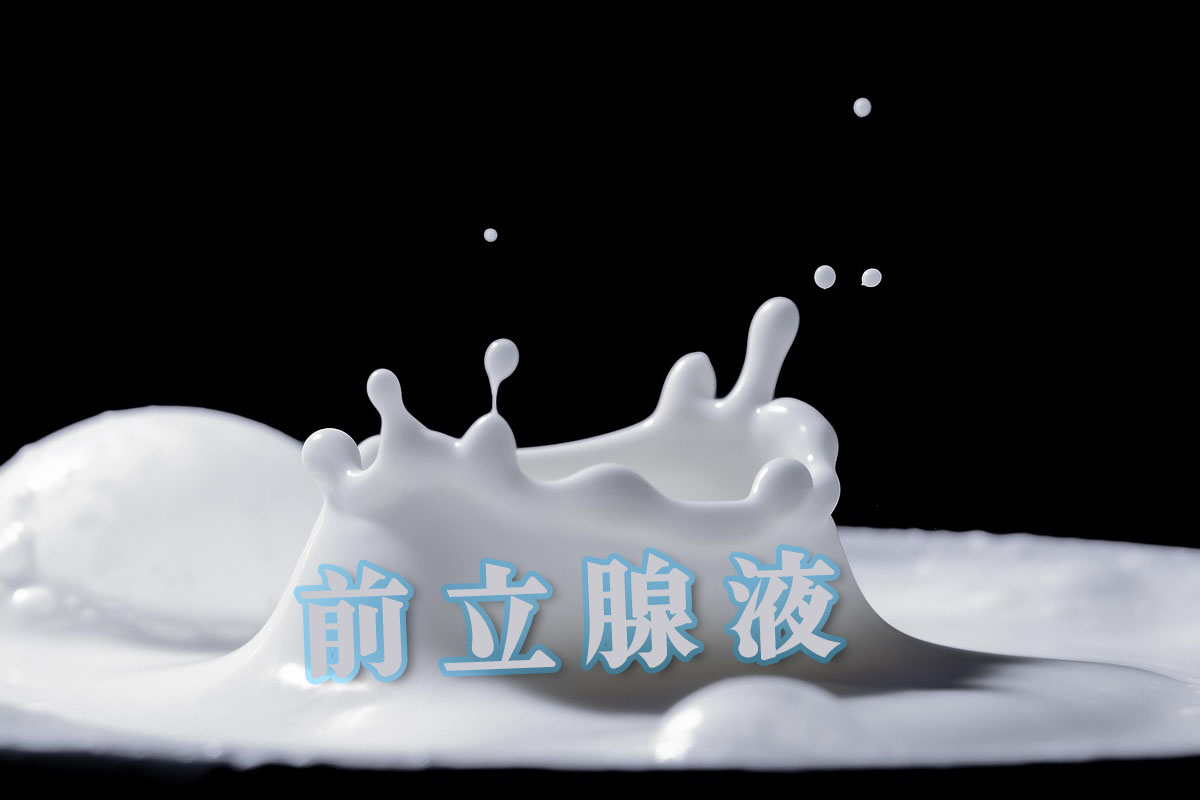 前立腺液の主な役割（精液の中ではとても大事！）